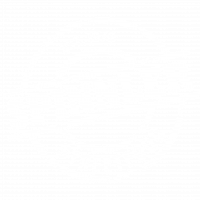 Spinnler Streedfood Logo